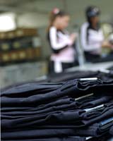sorting pants
