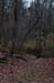 NH_Bartrc_Lake M_005