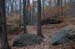 NH_Bartrc_Lake M_006