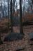 NH_Bartrc_Lake M_007