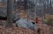 NH_Bartrc_Lake M_010