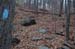 NH_Bartrc_Lake M_017