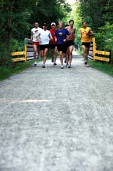 DSC_0105 trail