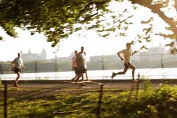 central park 2