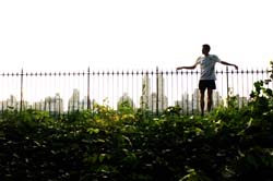 central park 6