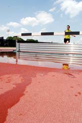 hurdle jump 1.2