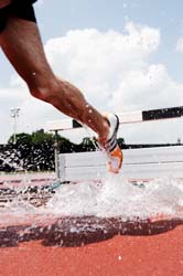 pit splash 1.3