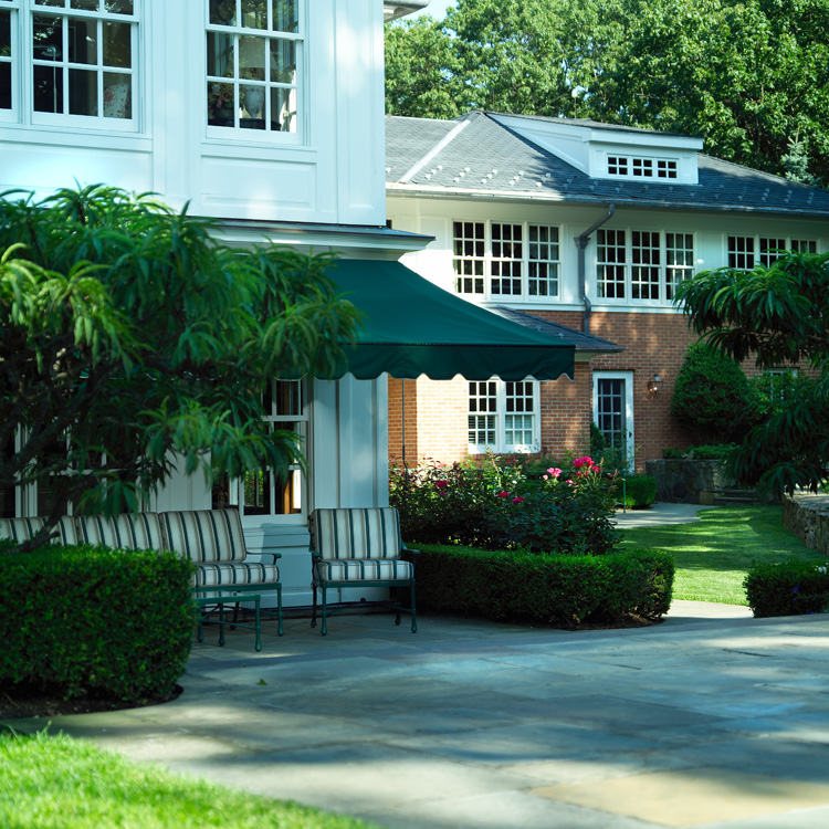 back yard