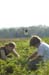 berrypick11