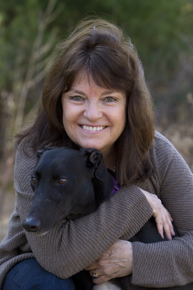 greyhounds030
