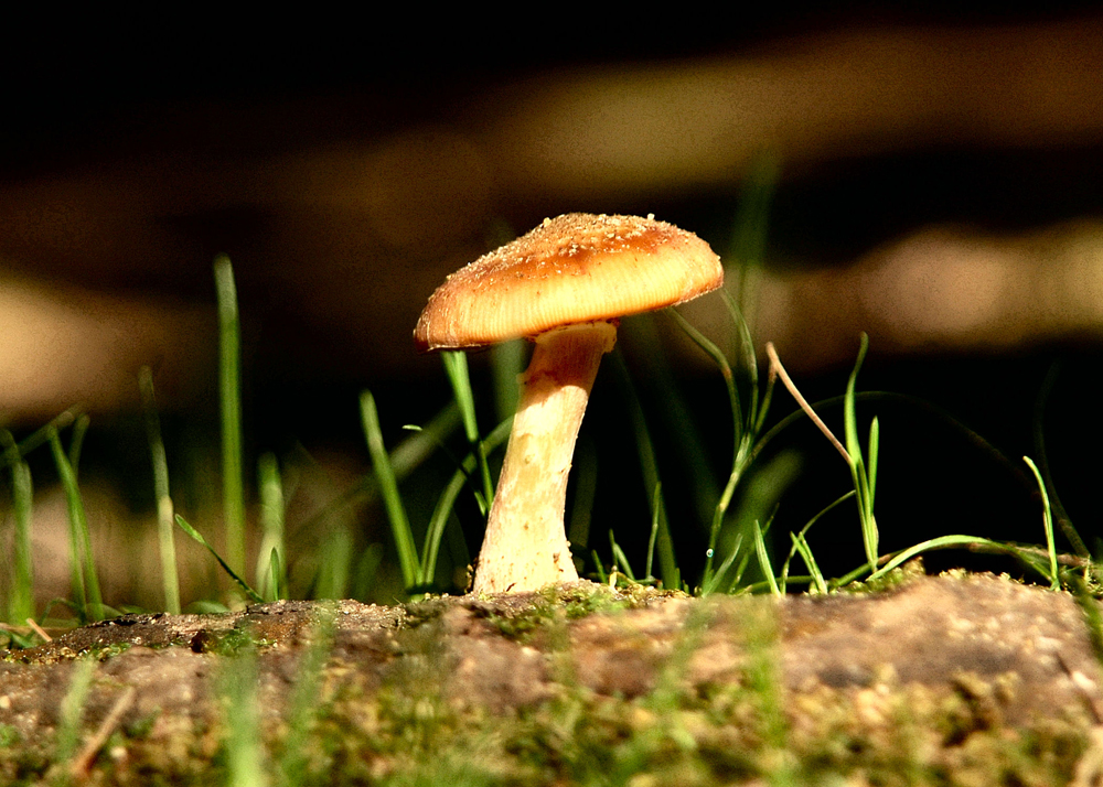 DSC_5165