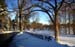 Winter JD