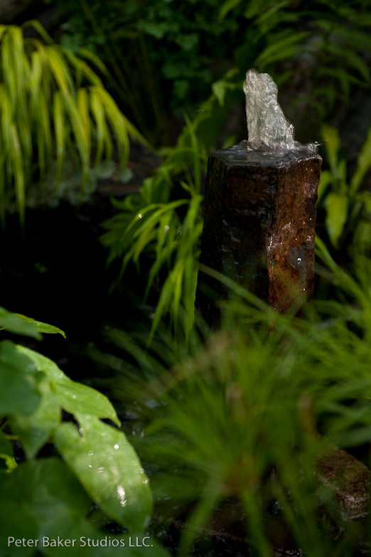 _DSC9773
