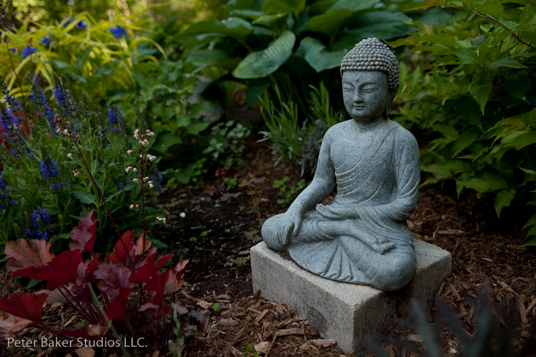 _DSC9864