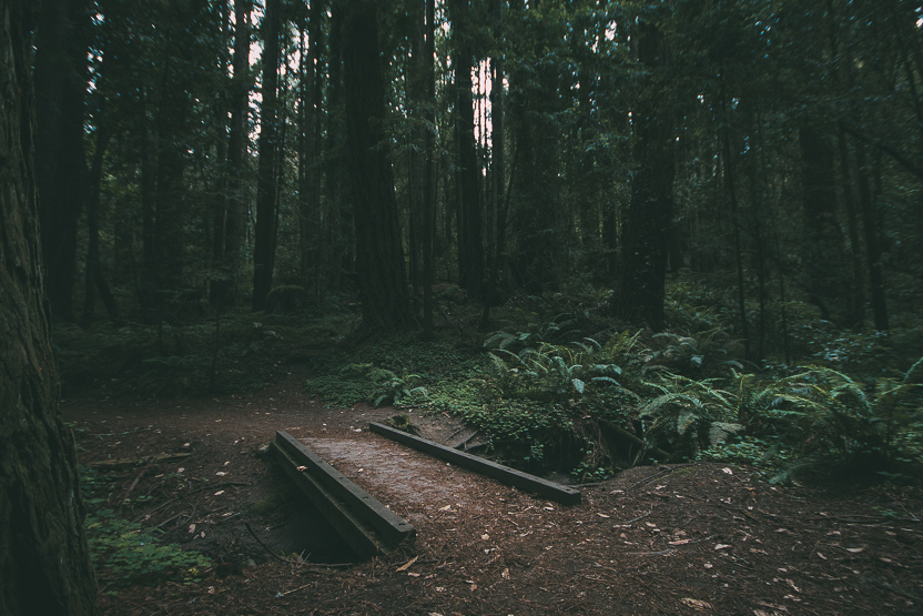 nature-841424