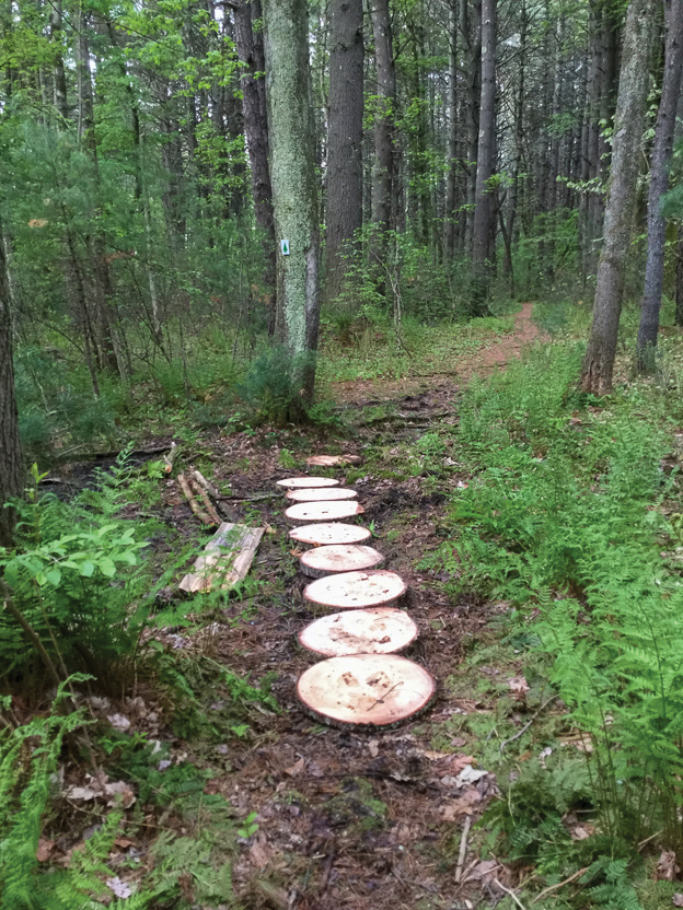 May 16-18 (4)