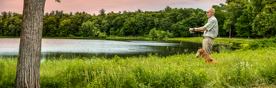 Pano 6.1