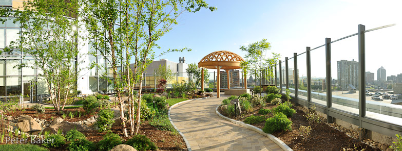 garden pana