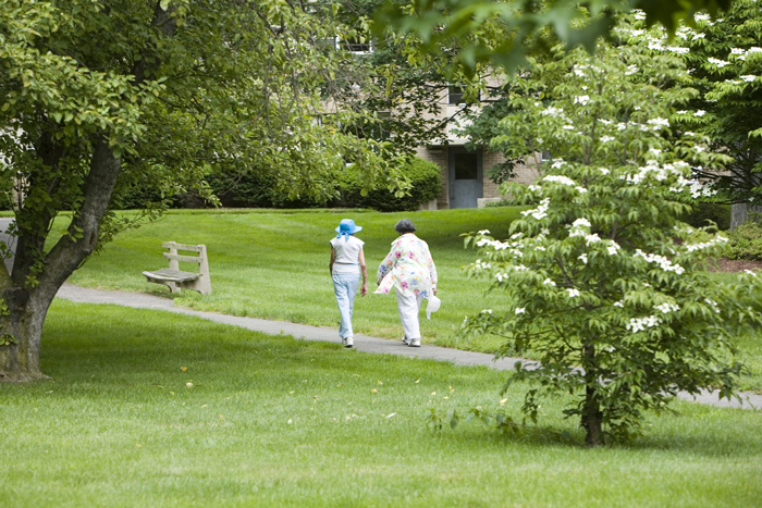 watermark_264