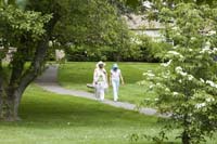 watermark_253