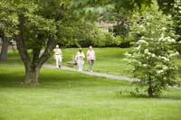 watermark_287