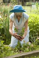watermark_355